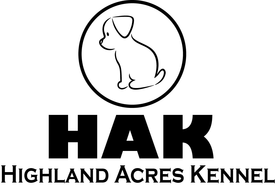 Highland Acres Jack Russell Terriers